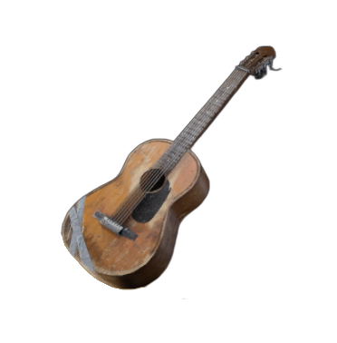 Acoustic Guitar