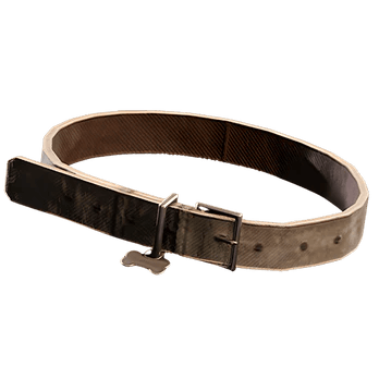 Dog Collar