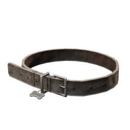 Dog Collar